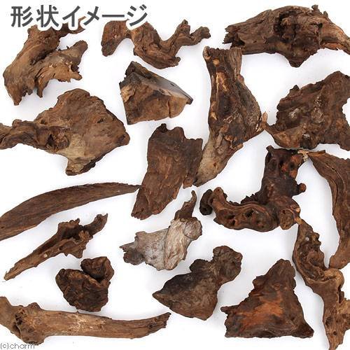 Amazon | 形状お任せ 自然流木 ミニ（約15cm以下） 2本